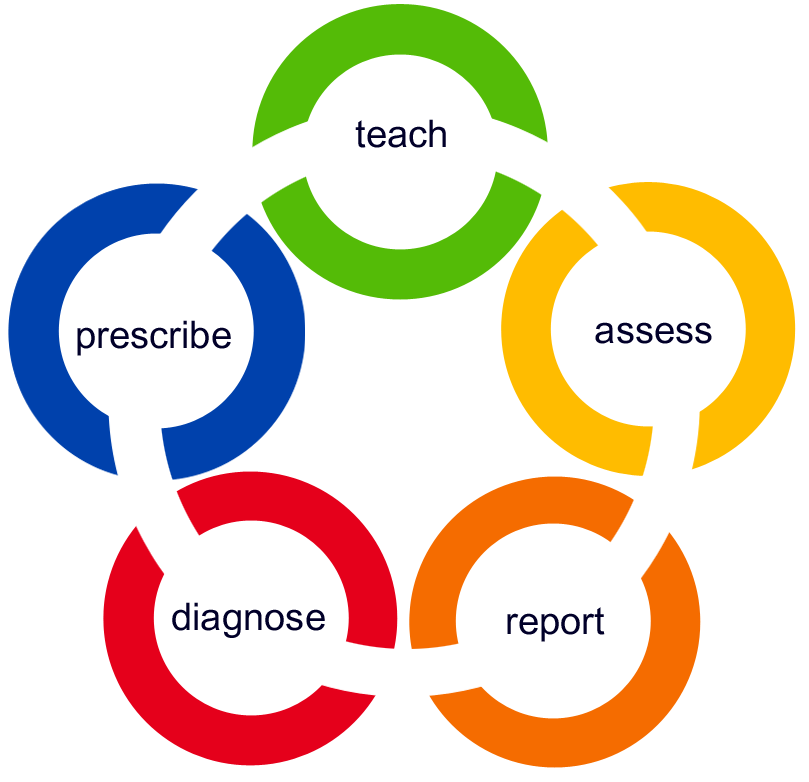 Successnet